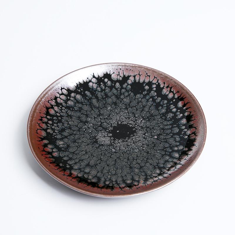 Succulent Coffee Cup 
